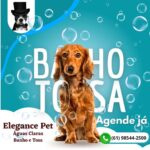 Elegance Pet Shop Águas Claras