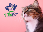 Villa Vet Centro Veterinário – Clínica 24 Horas – Veterinário em Porto Feliz