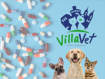 Villa Vet Centro Veterinário – Clínica 24 Horas – Veterinário em Porto Feliz